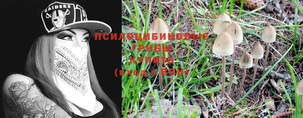 спайс Алексин