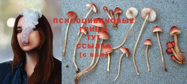 спайс Магадан