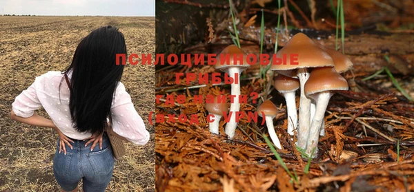 каннабис Алексеевка