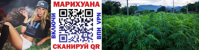 где купить наркоту  сайты даркнета клад  МАРИХУАНА сатива  Чистополь 